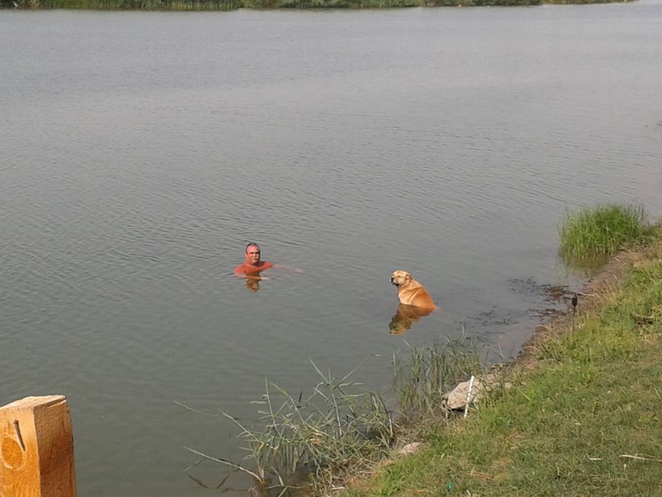 pescuit - 542483_413897548679540_1890483891_n.jpg